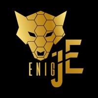 Junior Enterprise ENIG